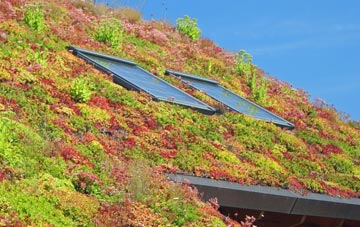 Kilcoy living roof systems